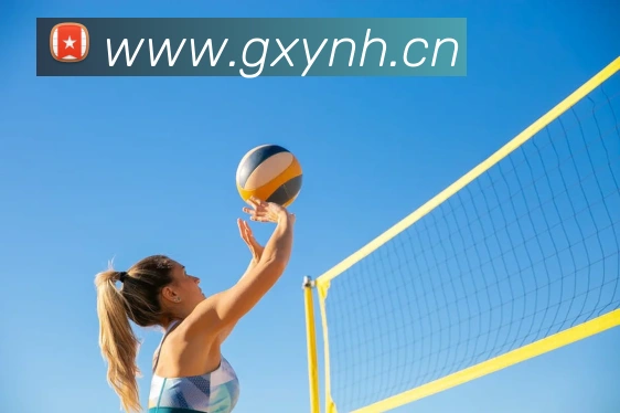 hth官网首页网址入口平台生态图